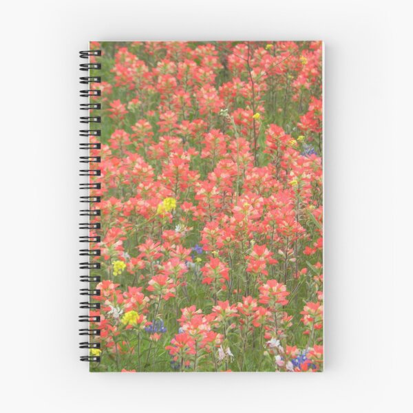 Item preview, Indian Paintbrush Red designed and sold by Navigator.