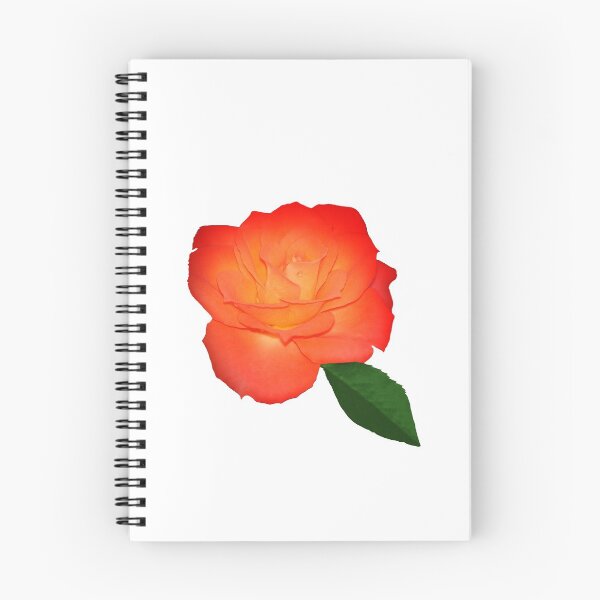 Item preview, Orange Rose designed and sold by cherylorraine.