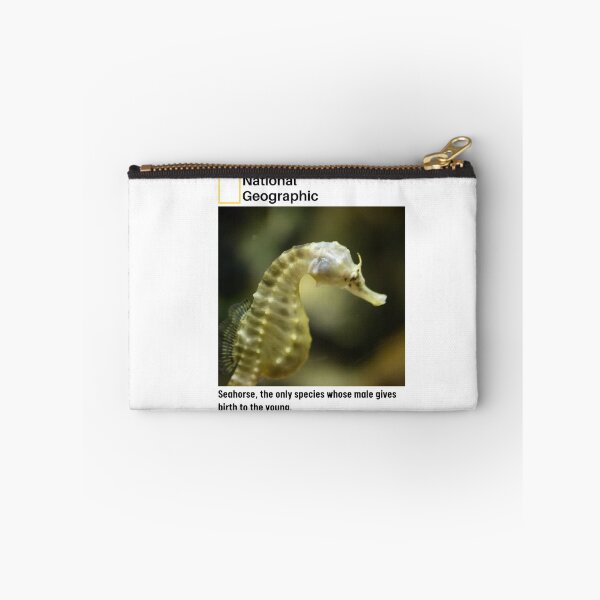 Item preview, Seahorse Interesting Fact designed and sold by being trendy.