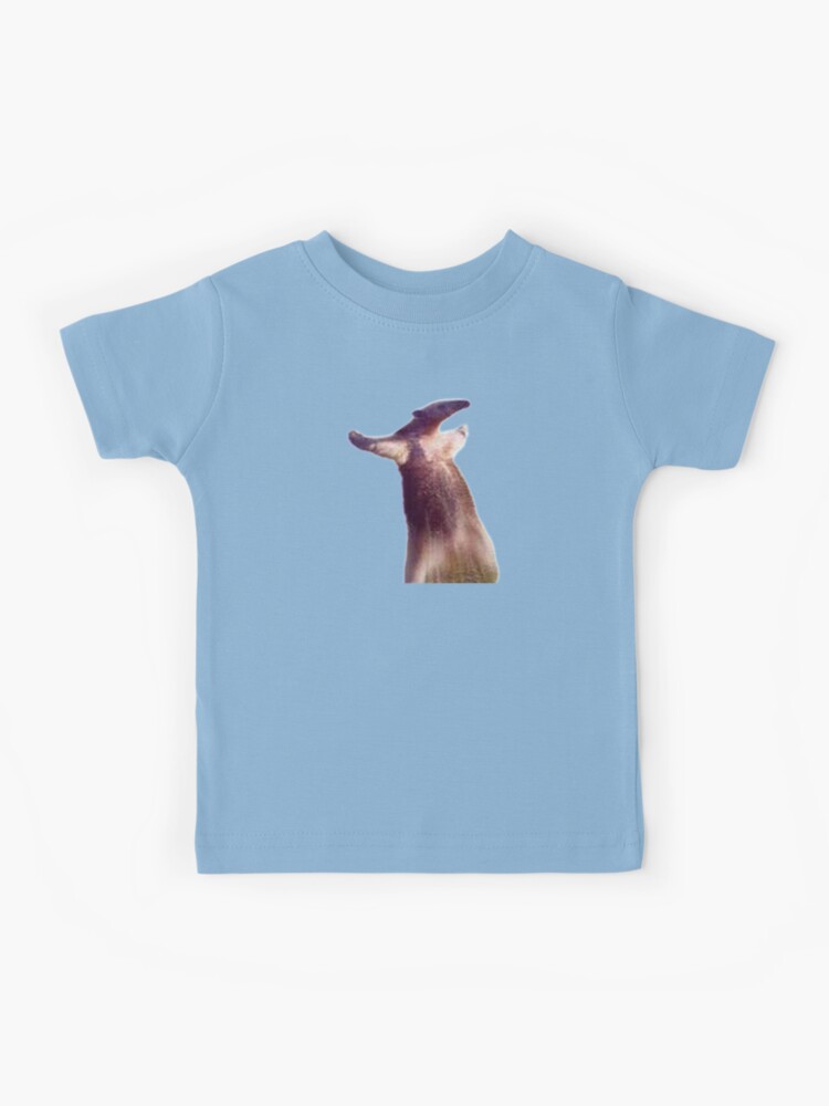 Baby anteater the t pose lord - 9GAG