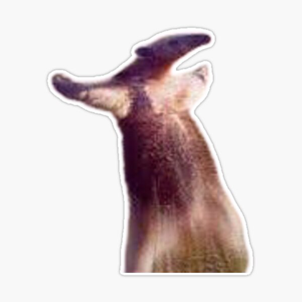 T Pose Anteater Sticker for Sale by AnteaterGuy