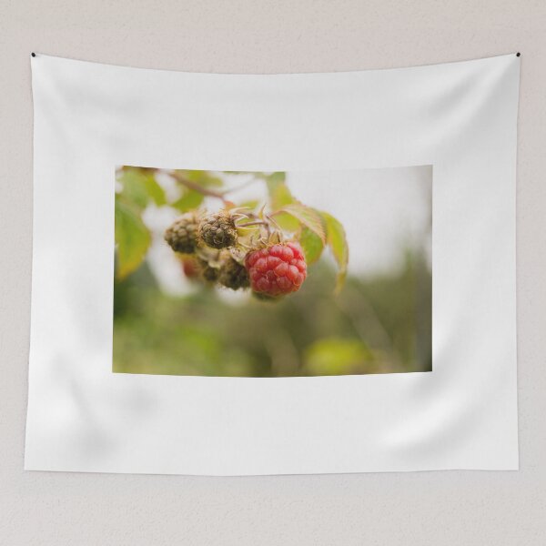Item preview, blb red raspberry designed and sold by pcfyi.