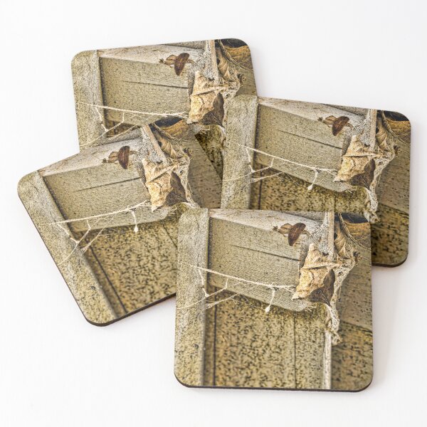 Item preview, Webs designed and sold by Joy  Rector.