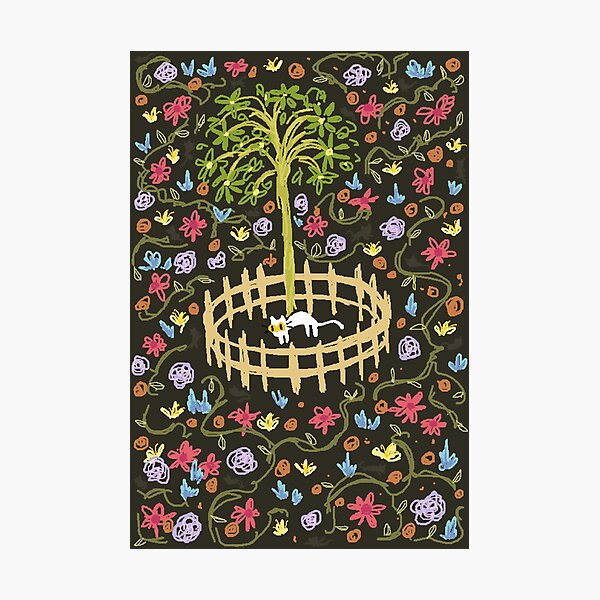 catcrumb in captivity Photographic Print