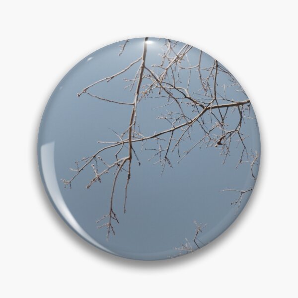Item preview, Frosted Branches designed and sold by Tessia Photography.