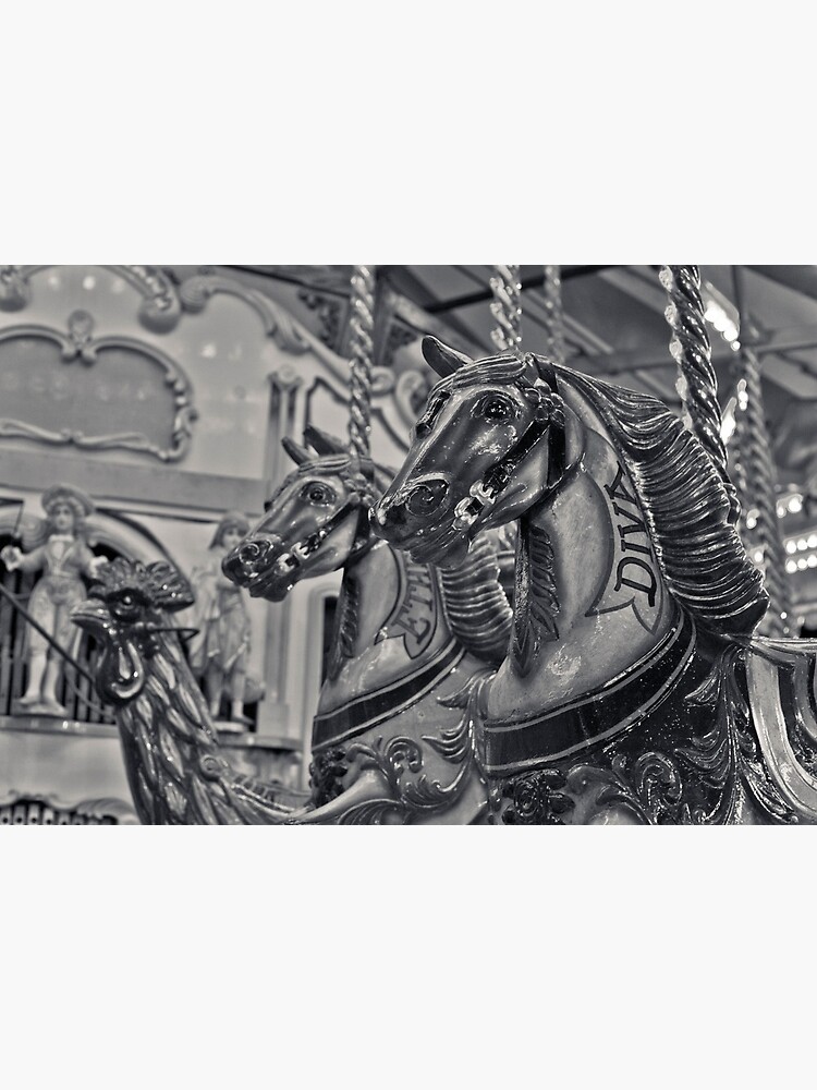 Merry-go-round horses, Diva! by bcash