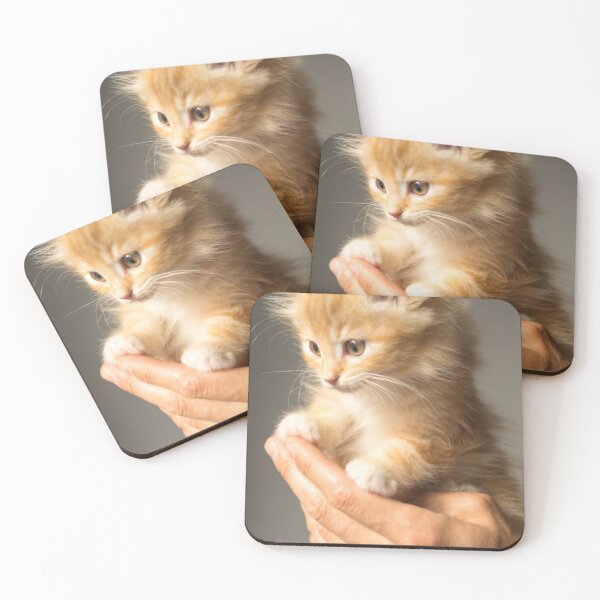 Item preview, Cutes cat ever designed and sold by SonyBA.