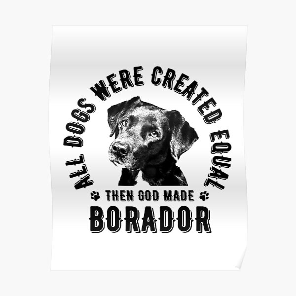All Dogs Created Equal Then Made Borador (black version)" Poster for Sale by Orianca | Redbubble
