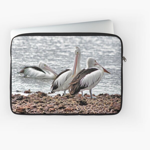Pelican's on mornings breeze Laptop Sleeve
