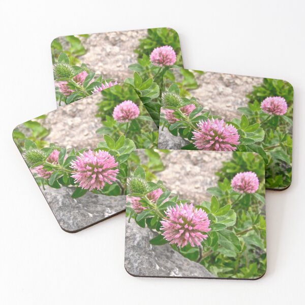 Item preview, Clover designed and sold by Shulie1.