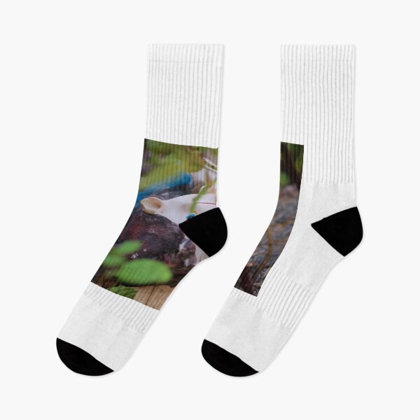 Item preview, Gnome in the Garden designed and sold by D-GaP.