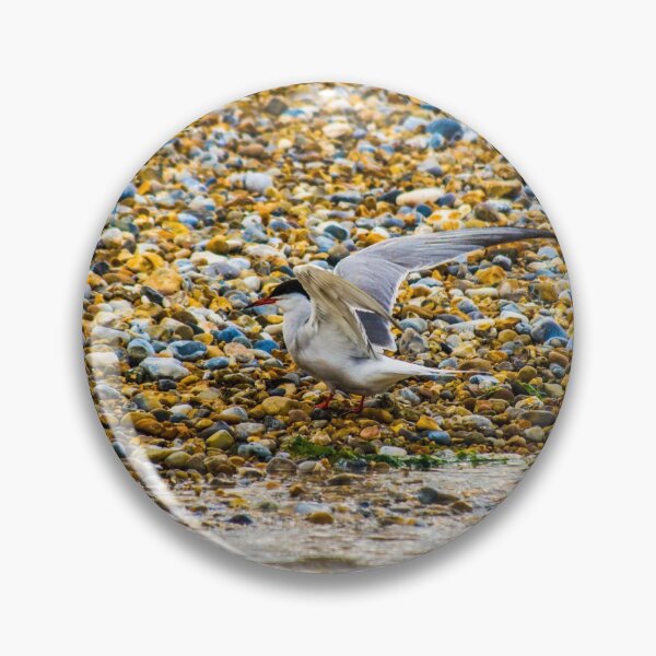 Item preview, Seagull designed and sold by SzendeB.