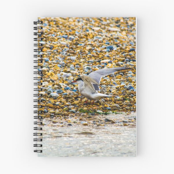 Item preview, Seagull designed and sold by SzendeB.