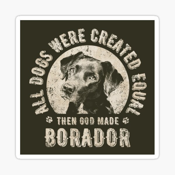 All Dogs Were Created Equal Then God Made Borador (white version)" Sticker for Sale by Orianca |