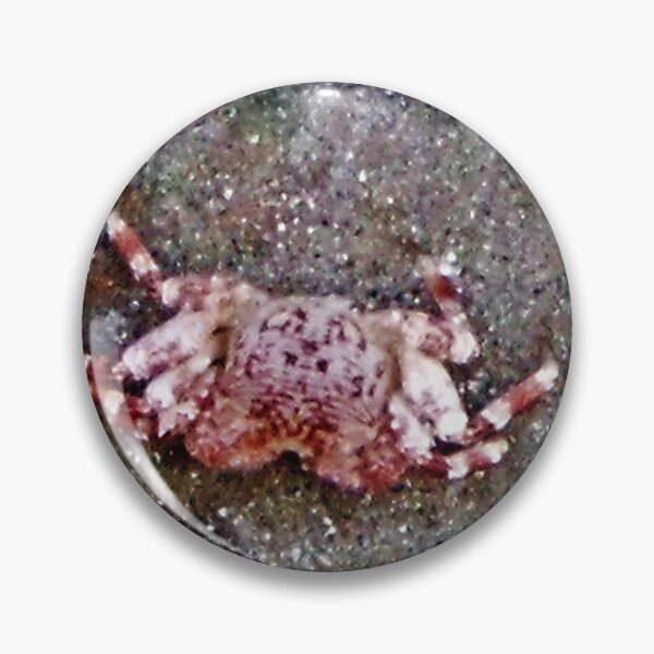 Item preview, Little Crab designed and sold by Twisted-Pixels.