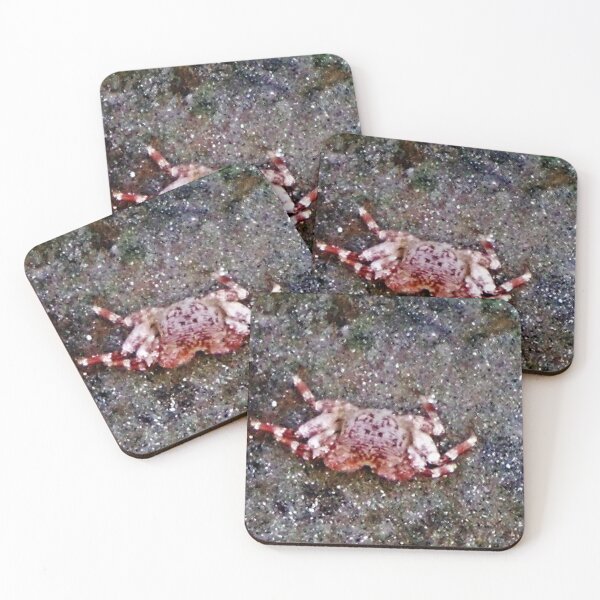 Item preview, Little Crab designed and sold by Twisted-Pixels.