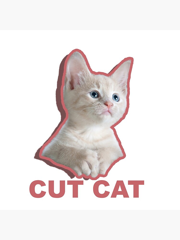 Cat Stickers - for Print and Cut