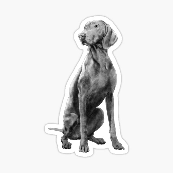 Item preview, Sitting Weimaraner Dog designed and sold by alwe-designs.