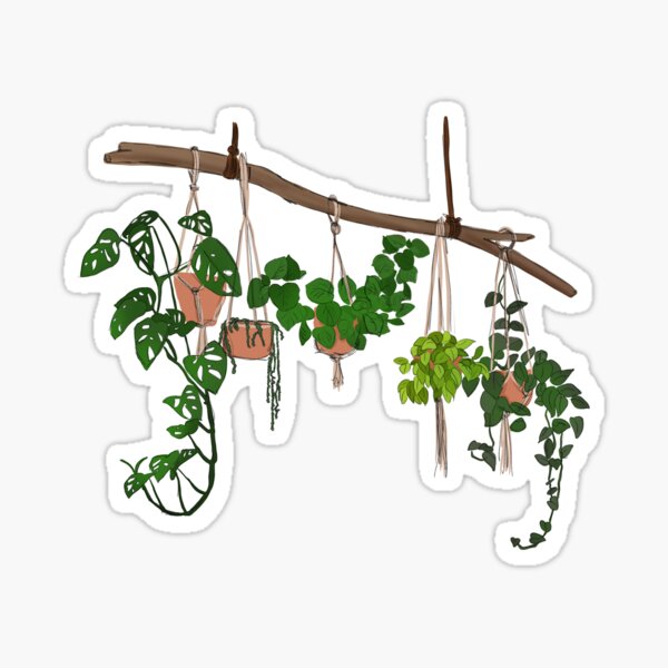 Plant Mom Sticker for Sale by marissadlr