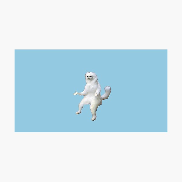 persian cat room guardian Photographic Print