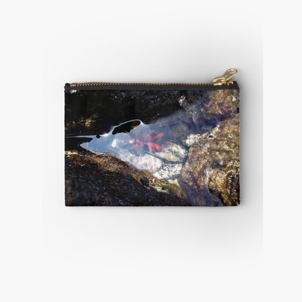 Item preview, Tidepool Critters designed and sold by Twisted-Pixels.