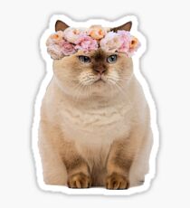 Grumpy Flower Cat Sticker