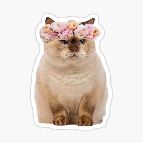 Grumpy Flower Cat Sticker