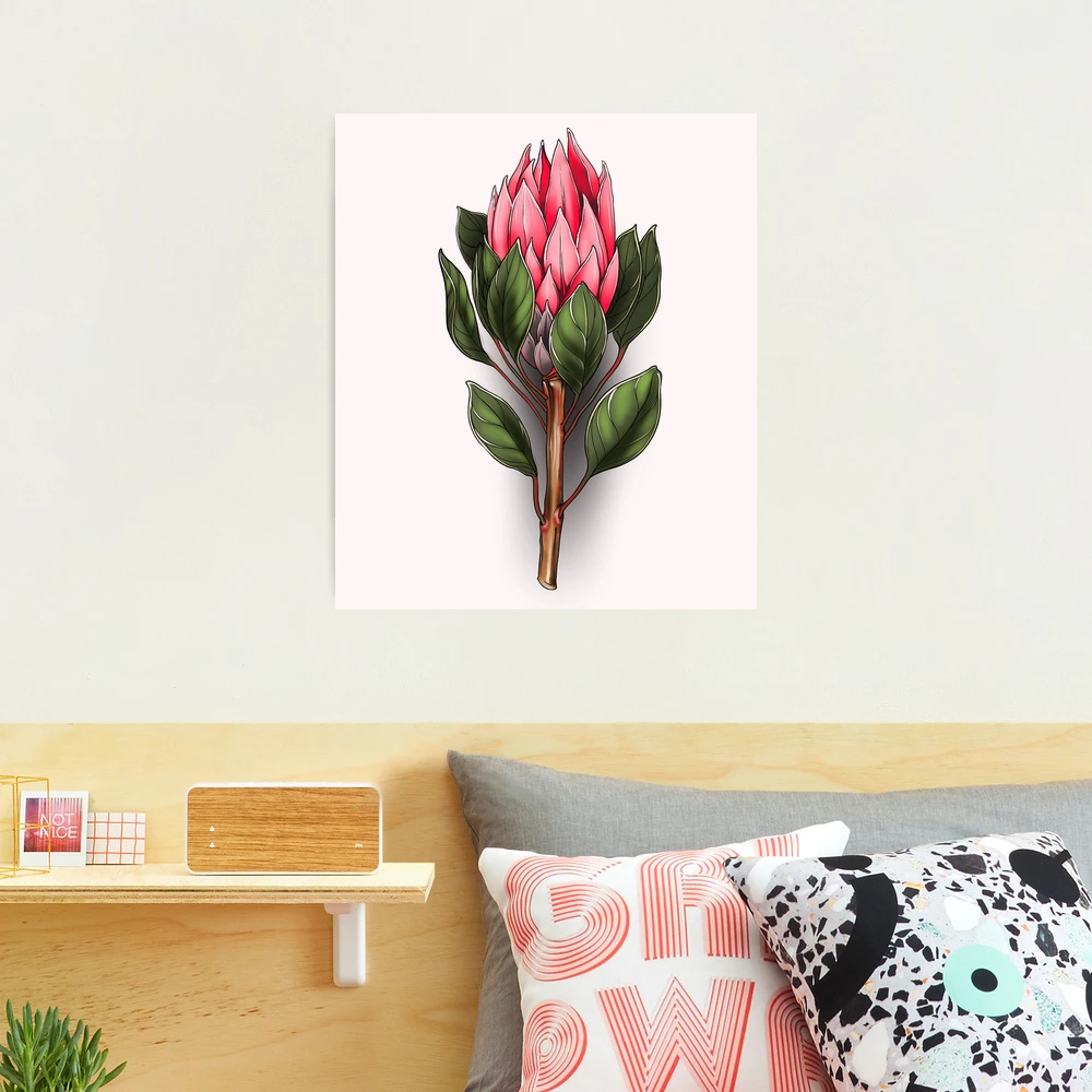 絵画 額縁付 プロテア protea Protea - Canvas Prints & Wall Art | iCanvas