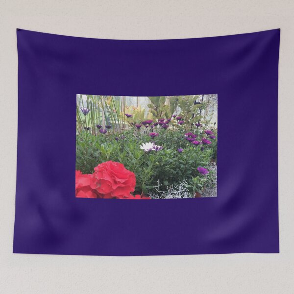 Item preview, Dublin National Botanic Garden designed and sold by VerticalVistas.