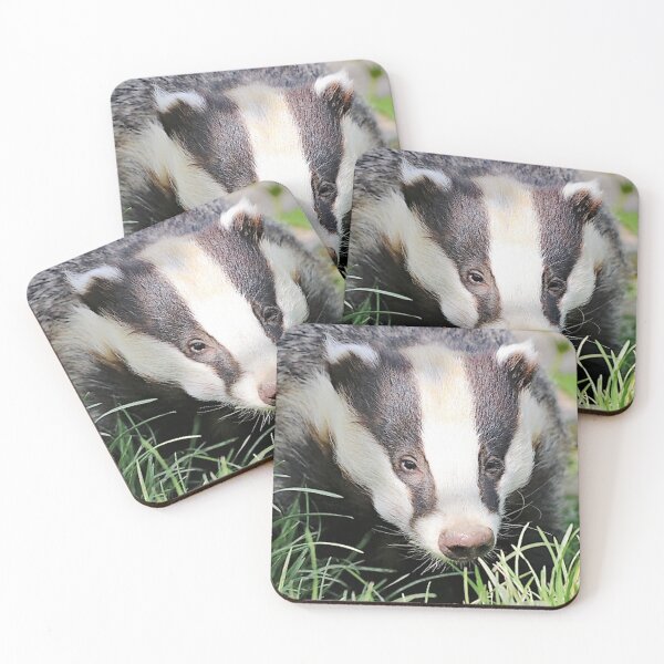 Item preview, An Adorable Badger designed and sold by Karen Thomson.