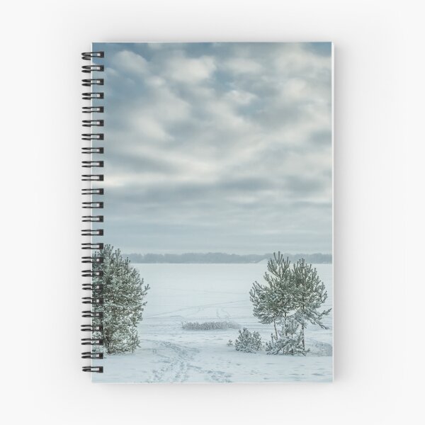 Item preview, A view of the frozen Lagoon designed and sold by Geraldas Galinauskas.