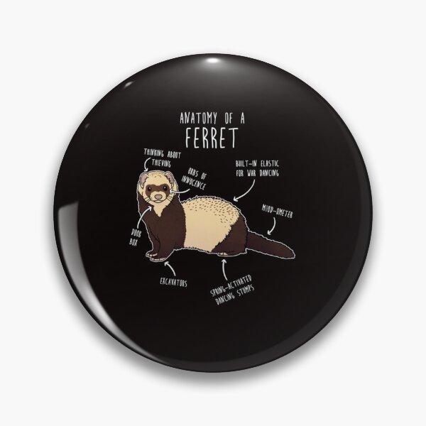 Item preview, Anatomy of a Ferret designed and sold by AmelieFritsch.