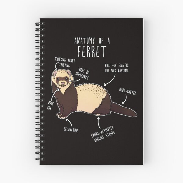 Item preview, Anatomy of a Ferret designed and sold by AmelieFritsch.