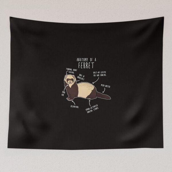 Item preview, Anatomy of a Ferret designed and sold by AmelieFritsch.