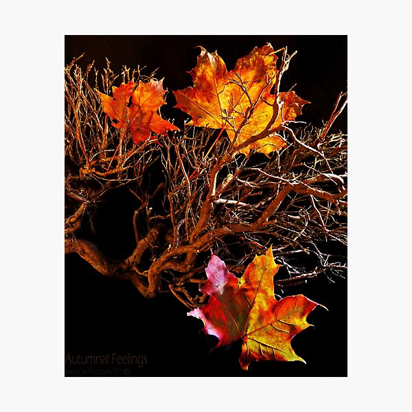 Autumn feelings Photographic Print