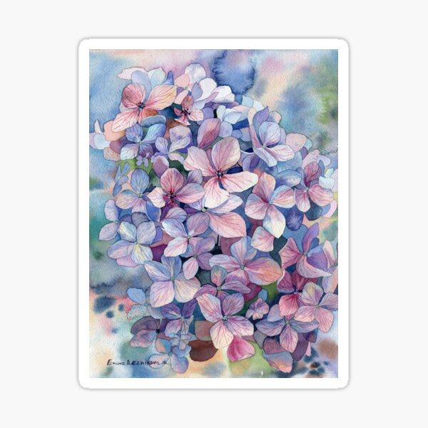 "Hydrangea" Sticker