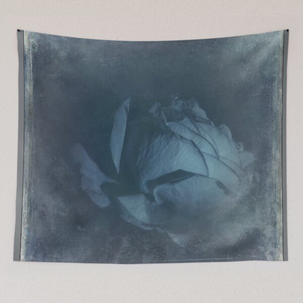 Item preview, Old Fashioned Rose designed and sold by MarkFoleyPhoto.