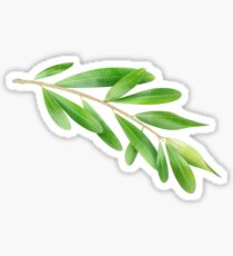 Olive branch Sticker