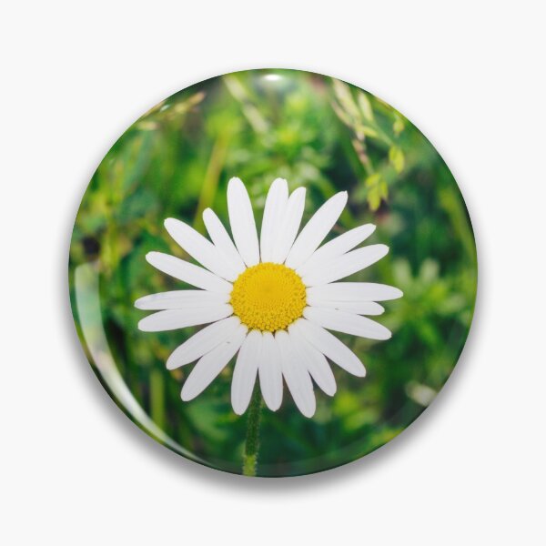 Item preview, White daisy flower designed and sold by SzendeB.