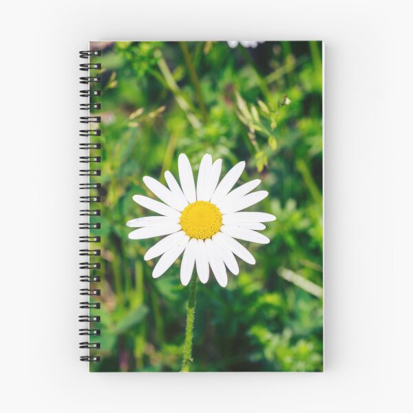 Item preview, White daisy flower designed and sold by SzendeB.
