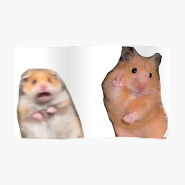 Póster «Hamster Meme» de valwerty | Redbubble