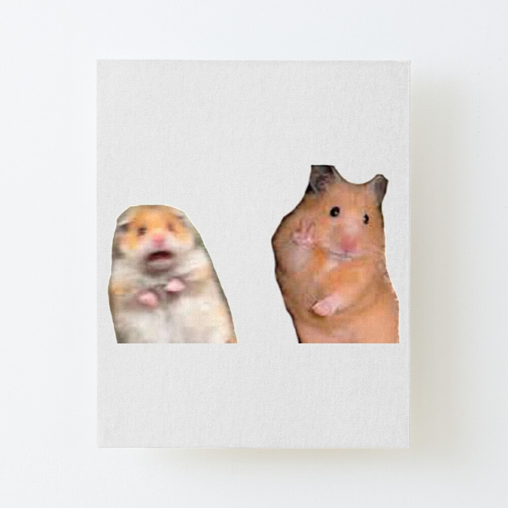 Scared Hamster' Is The Internet's Newest Cute Meme Craze