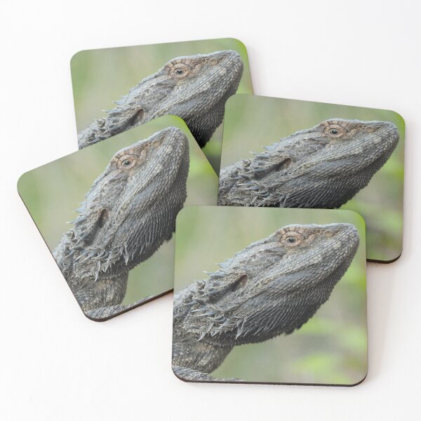 Item preview, Eastern Bearded Dragon (Pogona barbata) designed and sold by Trent Townsend.