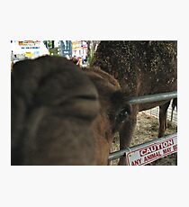 "Upclose, Closeup"... prints and products Photographic Print