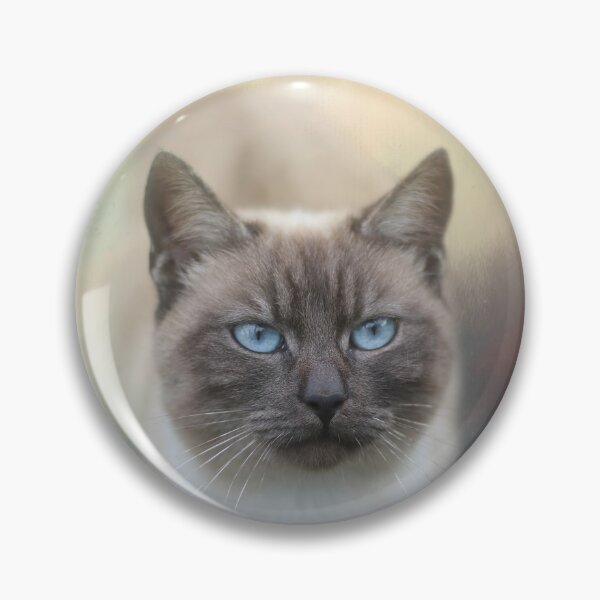 Item preview, Cute Lilac Point Siamese Cat designed and sold by Elisabeth Lucas.