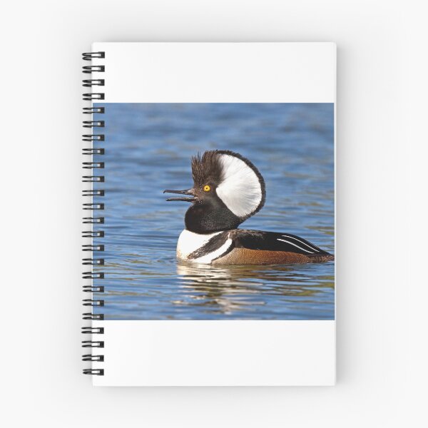 Item preview, Hooded Merganser designed and sold by James Cumming.