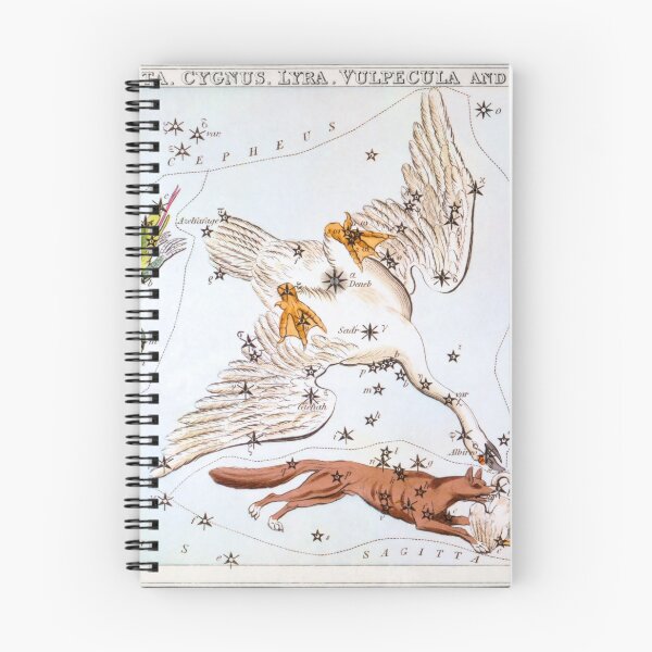 Item preview, Antique Constellation Map of Lacerta, Cygnus, Lyra, Vulpecula designed and sold by VintageArchive.