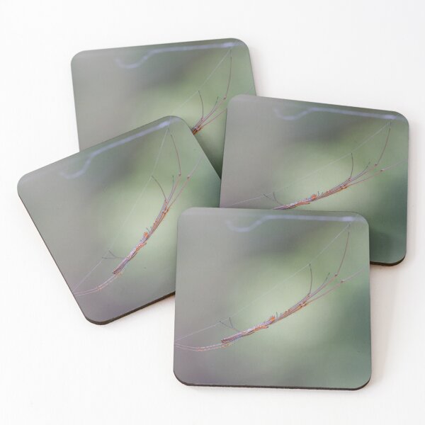 Item preview, Four-jawed Spider (Tetragnatha sp.)  designed and sold by Trent Townsend.