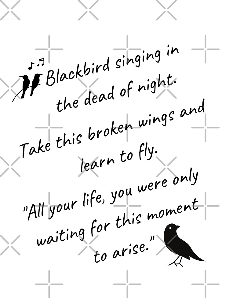 Blackbird Singing In The Dead Of Night Hippie T-Shirt Gift Blackbird Singing In The Dead Of Night Hippie T-Shirt Gift