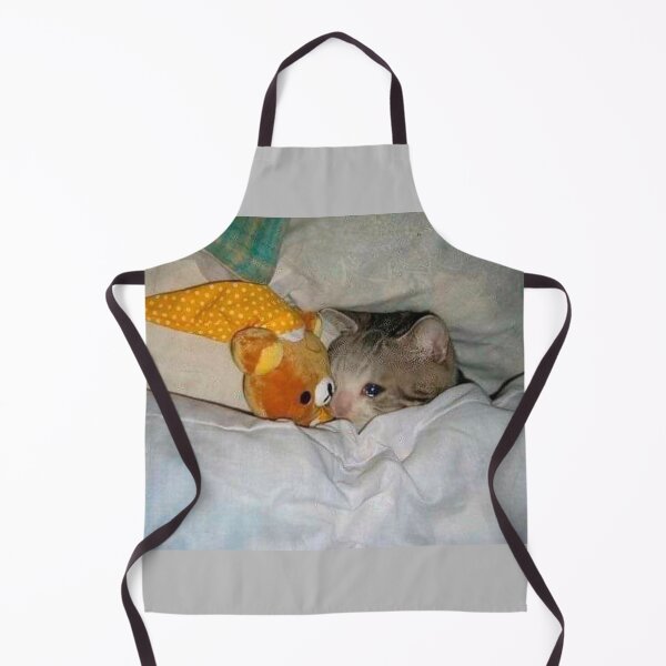 Item preview, Sad cat with teddy meme designed and sold by valwerty.